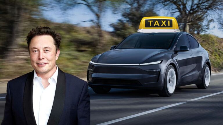 Elon Musk's Tesla Robotaxi